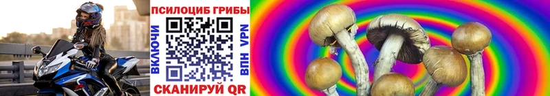 Псилоцибиновые грибы прущие грибы  Горнозаводск 